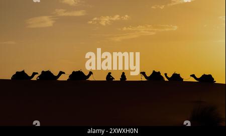 Silhouette di uomo berbero non identificato che conduce un cammello attraverso le dune di sabbia al tramonto nel deserto del Sahara, in Marocco Foto Stock