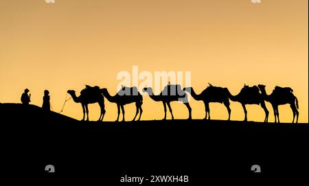 Silhouette di uomini berberi non identificati con la loro carovana di cammelli sulle dune di sabbia durante il tramonto nel deserto del Sahara, in Marocco Foto Stock