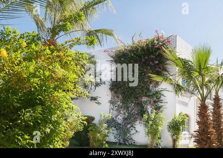 Villa moderna con vegetazione lussureggiante e bouganville arrampicate, circondata da palme. Foto Stock