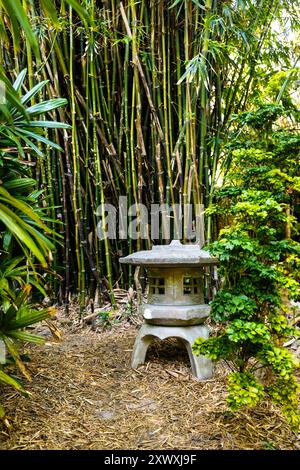 Giardino giapponese al giardino botanico di Miami Beach, Miami, Florida, Stati Uniti Foto Stock