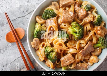 Frittura asiatica con manzo, broccoli, spaghetti e funghi in salsa di soia all'aglio primo piano sul recipiente sul tavolo. Vista dall'alto orizzontale Foto Stock