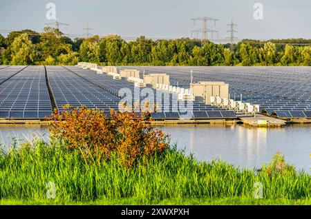 Zwolle, Paesi Bassi, 8 agosto 2024: Migliaia di pannelli solari galleggiano sull'acqua del lago Sekdoornseplas nell'ora d'oro Foto Stock