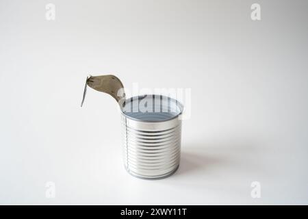 Coperchio aperto, lattina non etichettata su sfondo bianco. Primo piano, niente gente. Foto Stock