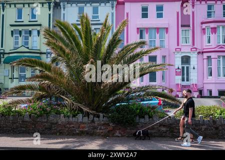 Colorati hotel sul lungomare di Paignton, Devon Foto Stock