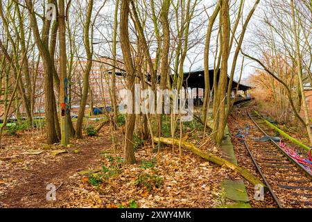 Siemensstadt S-Bahn Line Stato della linea sopraelevata Siemensstadt S-Bahn durante la primavera del 2020, prima che la ricostruzione iniziasse dopo diversi decenni di inattività. Berlino, Germania. Berlin Siemensstadt S-Bahn Berlino Germania Copyright: XGuidoxKoppesxPhotox Foto Stock