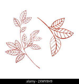 Set di illustrazioni ad acquerello con rami rossi, set natalizio di illustrazioni disegnate a mano Foto Stock