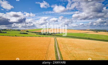 Campi di orzo Aberdeenshire Scozia nel cielo azzurro estivo su colture non tagliate vicino a Crovie Foto Stock