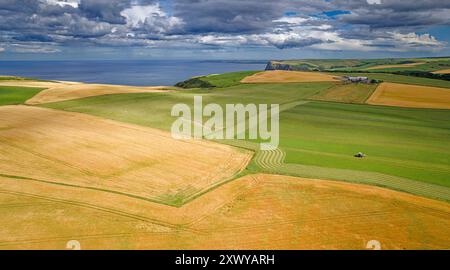 Campi di orzo Aberdeenshire Scozia con vista sul Moray Firth in estate e un trattore che taglia l'erba con la pioggia e le nuvole in avvicinamento Foto Stock