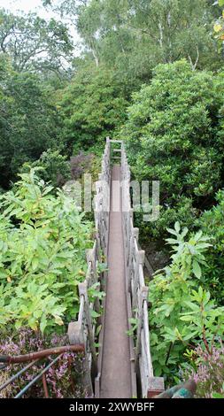 Hawkstone Follies Park, Shropshire, Inghilterra - Swiss Bridge Foto Stock