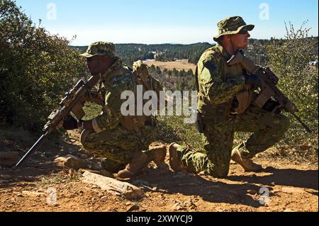 I Navy SEALs conducono addestramento a terra e in acqua. Foto della Marina degli Stati Uniti di Martin L. Carey specialista della comunicazione di massa di seconda classe - California (09 gennaio 2012) Foto Stock