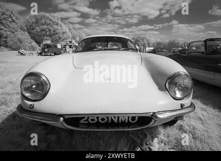 Primi anni '1960 Lotus Elite, (North Kent Lotus Group), al Classics al Penshurst Car Show al Penshurst Place 18 agosto 2024 foto: Michael Cole Foto Stock