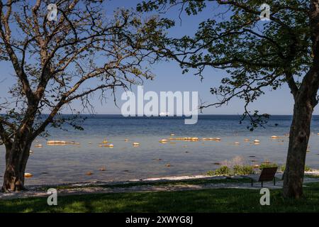 Riva del mare lungo la costa del Mar Baltico a Visby, Gotland, Svezia Foto Stock
