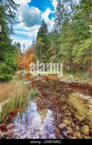 Affascinante scenario autunnale vicino al lago Hinterer Langbathsee. Popolare destinazione di viaggio. Ubicazione: Vorderer Langbathsee, regione Salzkammergut, Upper Austr Foto Stock