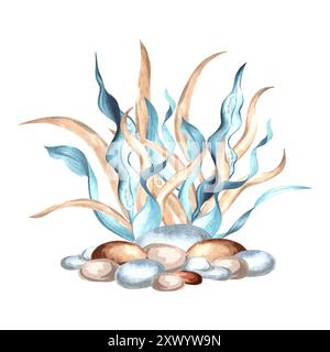 Alghe marine sott'acqua su ciottoli. Illustrazione ad acquerello disegnata a mano isolata. Alghe oceaniche, laminaria marina. Tema della flora tropicale marina. Clipart per Foto Stock