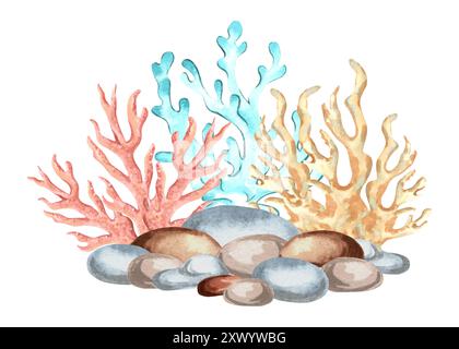 Coralli e ciottoli. Animali sottomarini della barriera corallina. Illustrazione ad acquerello disegnata a mano isolata. Oceanic Floor, alghe marine. Tema tropicale marino. Design esotico Foto Stock