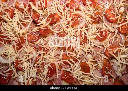 Mettere i pezzi di pomodoro sopra il salame, cospargere di formaggio e mettere in forno. Foto Stock