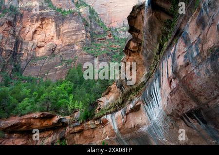 Emerald Falls, Zion Foto Stock