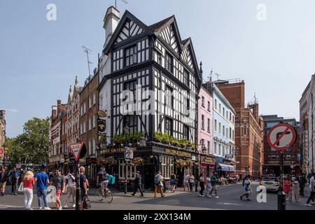 The Three Greyhounds Pub, Greek Street, Soho, Londra, Regno Unito. Foto Stock