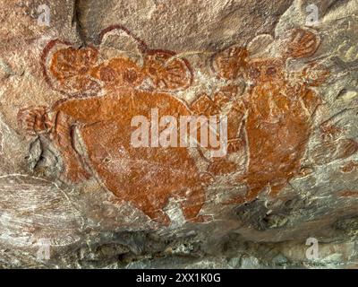 Wandjina forma d'arte di vari animali su King Leopold Sandstone, Swift Bay, Kimberley, Australia Occidentale, Australia, Pacifico Foto Stock