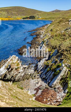 Vista dell'allevamento di pecore McGill sull'isola Carcass a Port Patterson nelle isole Falkland, nell'Oceano Atlantico meridionale, Sud America Foto Stock