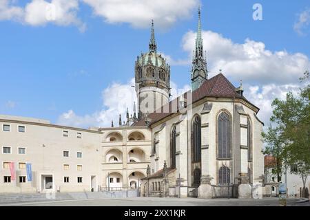 Tutte le Chiesa di San o Chiesa del Castello, Lutero città Wittenberg, Sassonia Anhalt, Germania, Europa Foto Stock