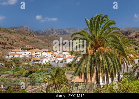 Fataga, Gran Canaria Isole Canarie Spagna, Atlantico, Europa Foto Stock
