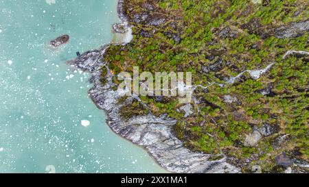 Aerea del deflusso del ghiacciaio Pia, Terra del fuoco, Cile, Sud America Foto Stock