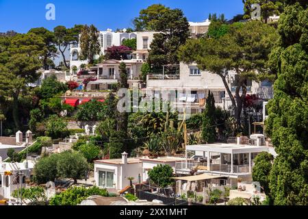 Basse case tradizionali in collina circondate dal verde nella capitale dell'isola di Capri, Golfo di Napoli, Campania, Italia, Europa Foto Stock