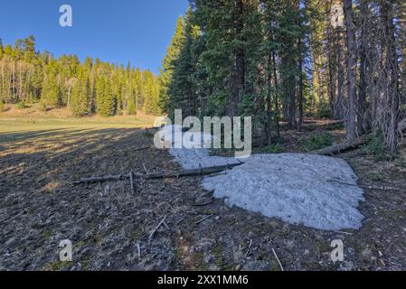 Scattata verso la fine di maggio 2024, gli ultimi resti di neve invernale sul versante nord del Grand Canyon National Park, Arizona, Stati Uniti d'America Foto Stock