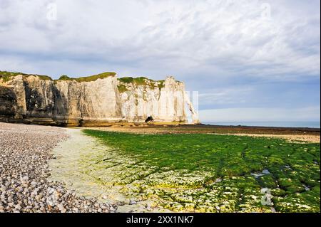 Foreshore con bassa marea e scogliera, Etretat, dipartimento Senna-marittimo, regione della Normandia, Francia, Europa Foto Stock