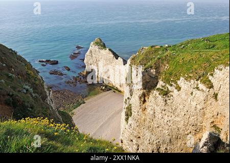 Scogliere di Etretat, dipartimento marittimo della Senna, regione della Normandia, Francia, Europa Foto Stock