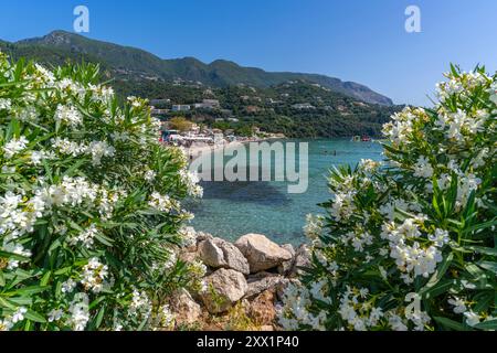 Vista del Mar Ionio e della spiaggia di Ipsos a Ipsos, Ipsos, Corfù, Mar Ionio, Isole greche, Grecia, Europa Foto Stock