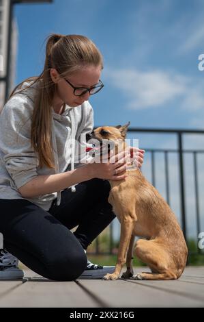 Giovane donna caucasica che cammina con il suo cane Toy Terrier russo. Foto verticale. Foto Stock