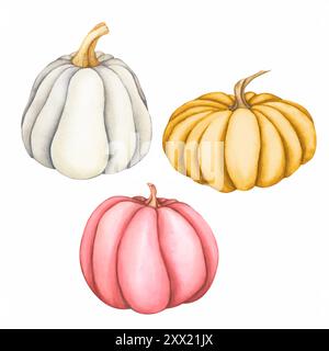 Set vettoriale di zucche. Zucca acquerello nei colori pastello del bianco, del rosa e dell'arancione. Illustrazioni per il design autunnale. Modello per schede per Illustrazione Vettoriale