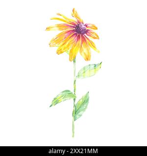 Illustrazione isolata in camomilla rudbeckia con acquerello floreale disegnata a mano per noi in inviti di nozze di design, cartoline, motivi, tessuti, articoli. Foglie Foto Stock