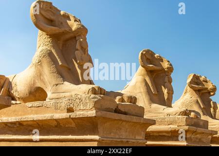 Imbarcati in un viaggio senza tempo lungo il viale delle Sfingi di Karnak, dove antichi dei e faraoni controllano ancora la terra. Foto Stock