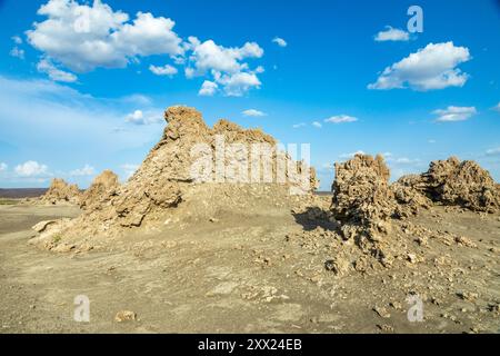 Ciminiere preistoriche calcaree formazioni rocciose, fondo del lago salato Abbe, regione di Dikhil, Gibuti Foto Stock