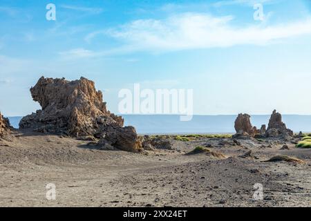 Ciminiere preistoriche calcaree formazioni rocciose, fondo del lago salato Abbe, regione di Dikhil, Gibuti Foto Stock