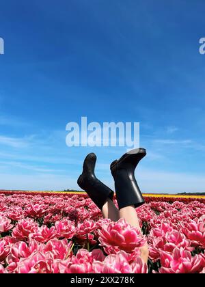 Le gambe di donna indossano stivali wellington che si attaccano in aria in un campo di tulipani rosa, Bielorussia Foto Stock