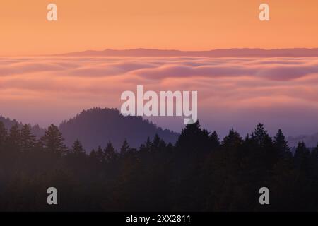 Una vista del tramonto sopra le nuvole del Monte Tamalpais nella contea di Marin, California, presenta onde di nuvole illuminate da un radioso tramonto arancione. Foto Stock