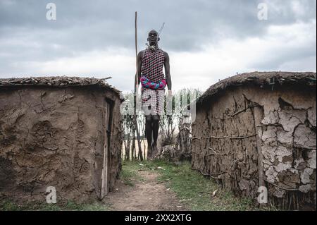 (240822) -- NAROK, 22 agosto 2024 (Xinhua) -- Un abitante Maasai esegue la danza tradizionale in un villaggio nella riserva nazionale Masai Mara a Narok, Kenya, il 21 agosto 2024. I Maasai, una delle principali tribù del Kenya, sono principalmente sparsi nelle parti sud e sud-ovest che confinano con la Tanzania. La tribù vive ancora in modo nomade. Il loro insediamento copre le destinazioni turistiche famose in tutto il mondo della riserva nazionale Masai Mara e del Parco nazionale del Serengeti. Con lo sviluppo dell'industria turistica locale, il popolo Maasai ha aperto i propri villaggi per abbracciare i turisti, come un modo per aumentare la t Foto Stock