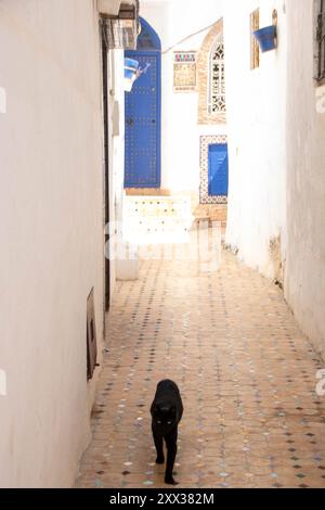 Strada dipinta di blu della Kasbah di Oudaias a Rabat Foto Stock