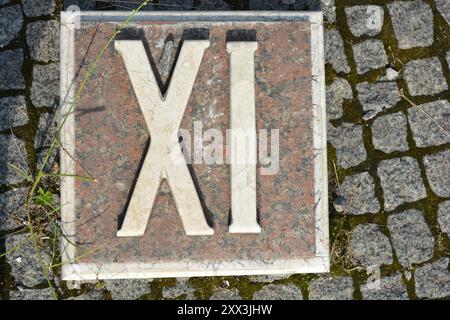 Materiali da costruzione, memoriali, iscrizioni bianche in grigio, granito marrone dei numeri romani uno, due, tre, quattro, cinque, sei, sette, otto, nove, dieci. Foto Stock