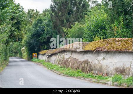 Taplow, Buckinghamshire, Regno Unito. 14 agosto 2024. Le antiche mura dell'abbazia di Burnham a Taplow, Buckinghamshire, uno degli ultimi monasteri medievali sopravvissuti nel Regno Unito, che è stato messo in vendita. L'abbazia è stata costruita nel 1266 ed è sul mercato per 3,5 milioni di sterline. L'abbazia è stata recentemente la casa delle suore anglicane, la società del sangue prezioso. Crediti: Maureen McLean/Alamy Foto Stock