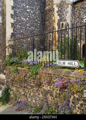 St Peter Hungate, Elm Hill, Norwich, Norfolk, Inghilterra, REGNO UNITO, REGNO UNITO. Foto Stock