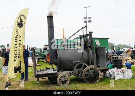 Ricostruzione moderna di Puffing Devil di Richard Trevithick - John Gollop Foto Stock