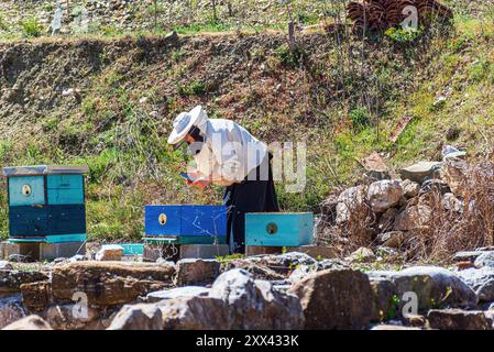 Una suora guarda la scatola delle api nell'apiario. Monastero di San Leonzio, Vodocha, Macedonia del Nord. Foto Stock