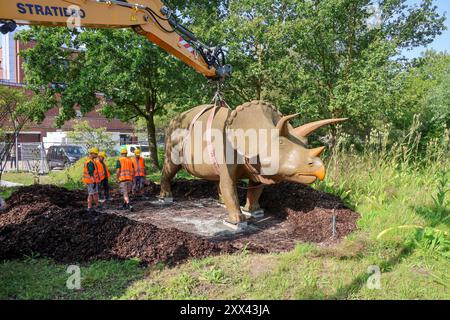 Wenn schwere Dinos fliegen - Modelle vor dem LWL-Museum für Naturkunde versetzt. Wahrzeichen des Museums kennzeichnen neuen Museumseingang. DAS LWL-Museum für Naturkunde bekommt einen Anbau auf dem Museumsvorplatz. für die Zeit der Bauarbeiten markieren die Dinos den neuen, vorübergehenden Eingang nel Museo das. Münster, Nordrhein-Westfalen, DEU, Deutschland, 22.08.2024 *** quando i dinosauri pesanti volano i modelli si spostano di fronte al Museo LWL di storia naturale i punti di riferimento del museo segnano il nuovo ingresso del museo il Museo LWL di storia naturale sta ottenendo un ampliamento del cortile del museo Foto Stock