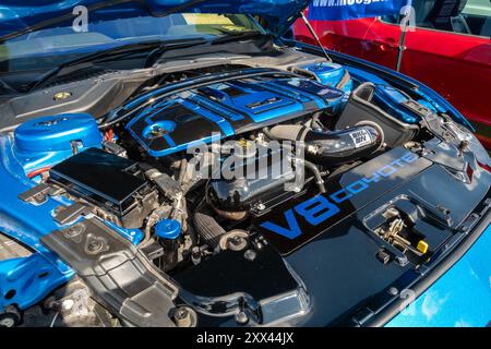 British Motor Show 2024, tenutosi a Farnborough, Hampshire, Inghilterra, Regno Unito, dal 15 al 18 agosto 2024. Giorno 2 dell'evento annuale al Farnborough International Exhibition Centre. Primo piano di un motore V8 Coyote in una Ford Mustang blu. Foto Stock