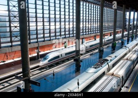 Treni AVE a Puerta de la stazione ferroviaria di Atocha. Madrid, Spagna. Foto Stock